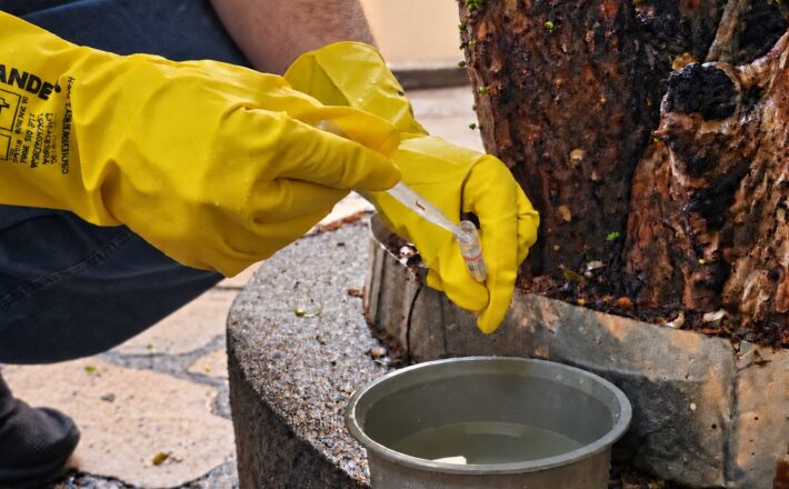 Novo LIRAa aponta média infestação do Aedes aegypti e reforça cuidados preventivos em Araxá
