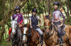 Feriado de 12 de outubro: 10 dicas de passeios, hospedagens e chocolaterias para curtir com as crianças em Monte Verde (MG)