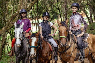 Feriado de 12 de outubro: 10 dicas de passeios, hospedagens e chocolaterias para curtir com as crianças em Monte Verde (MG)