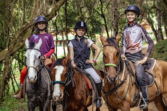 Feriado de 12 de outubro: 10 dicas de passeios, hospedagens e chocolaterias para curtir com as crianças em Monte Verde (MG)