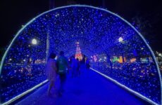 Câmara aprova projeto de fomento para o Natal de Luz Araxá