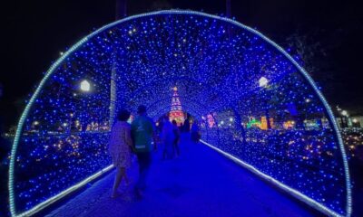 Câmara aprova projeto de fomento para o Natal de Luz Araxá